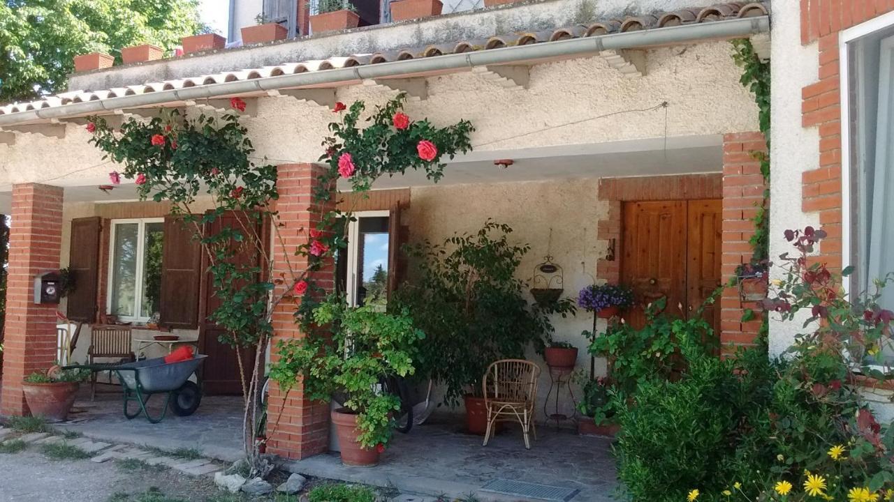 B&B La Gallinella Rossa Baschi Экстерьер фото