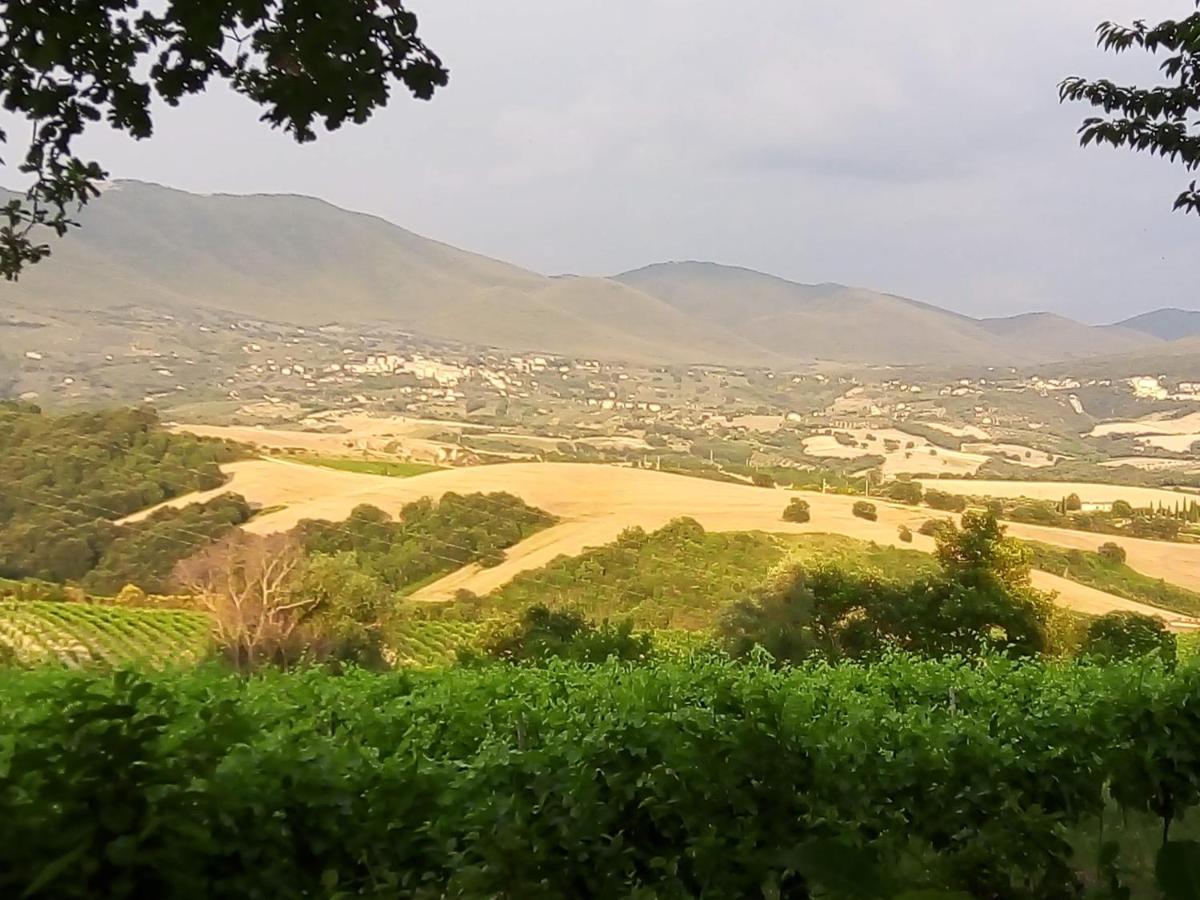 B&B La Gallinella Rossa Baschi Экстерьер фото