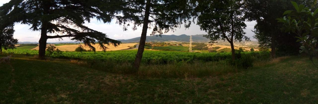 B&B La Gallinella Rossa Baschi Экстерьер фото