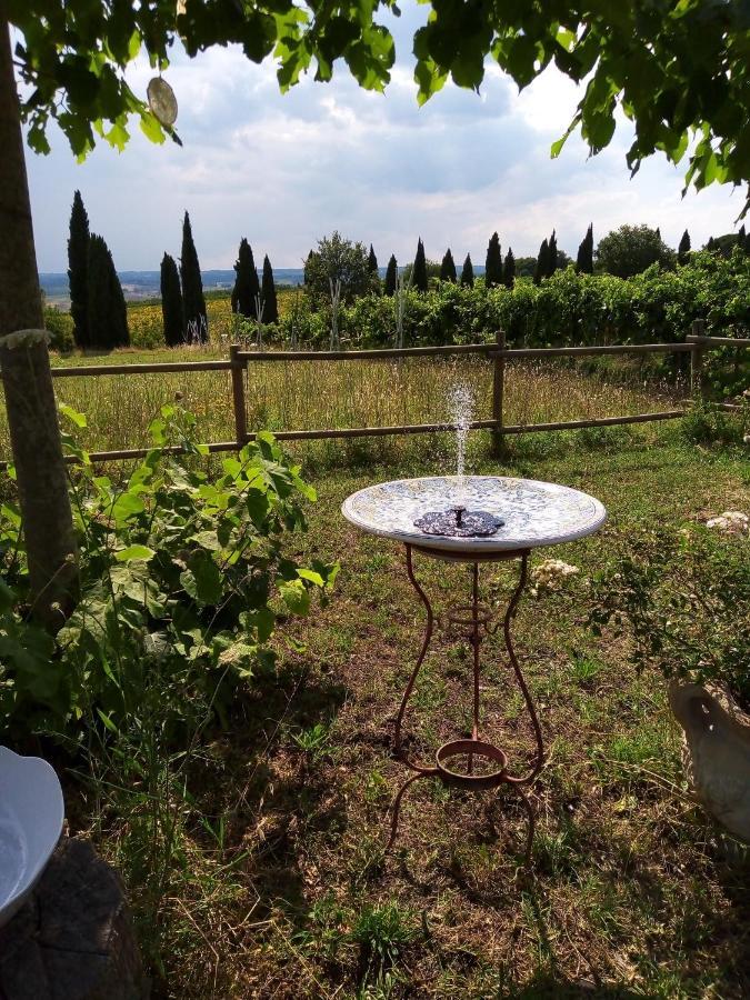 B&B La Gallinella Rossa Baschi Экстерьер фото