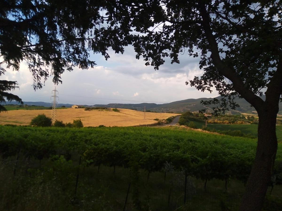 B&B La Gallinella Rossa Baschi Экстерьер фото