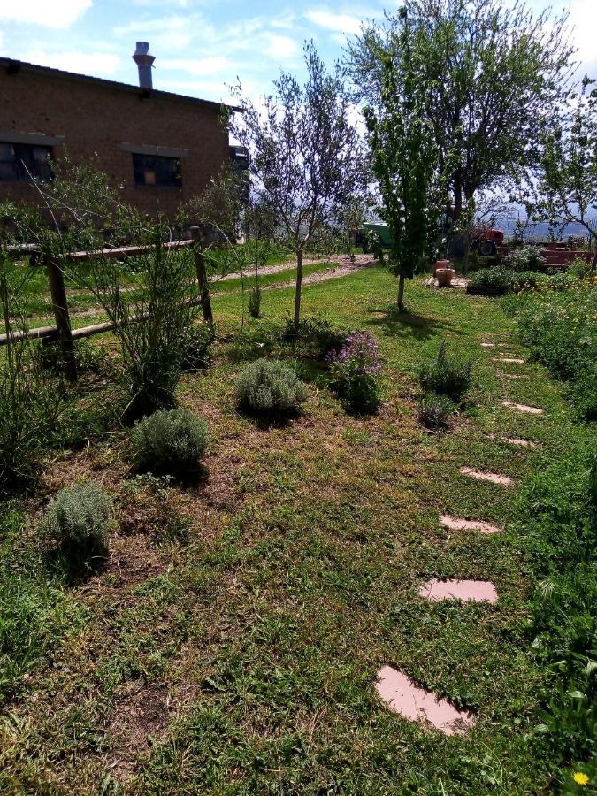 B&B La Gallinella Rossa Baschi Экстерьер фото