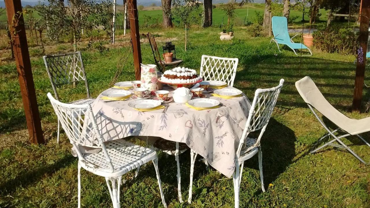 B&B La Gallinella Rossa Baschi Экстерьер фото