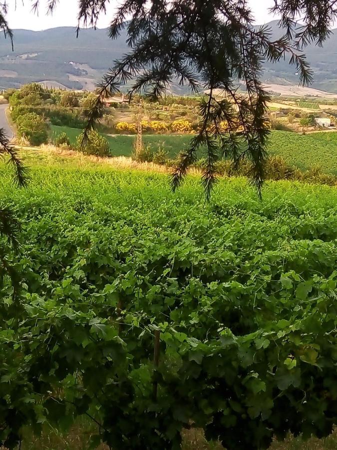 B&B La Gallinella Rossa Baschi Экстерьер фото