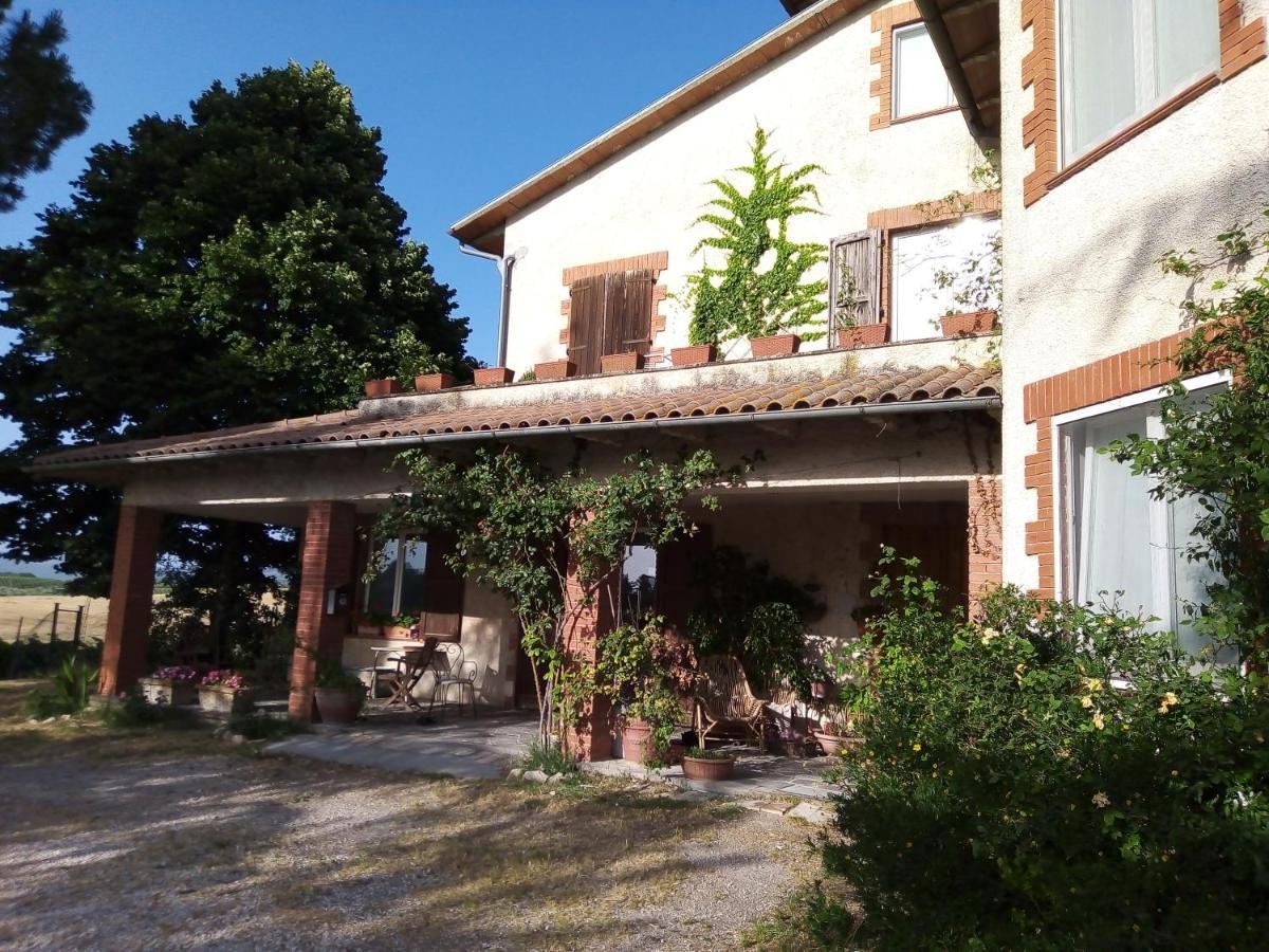 B&B La Gallinella Rossa Baschi Экстерьер фото