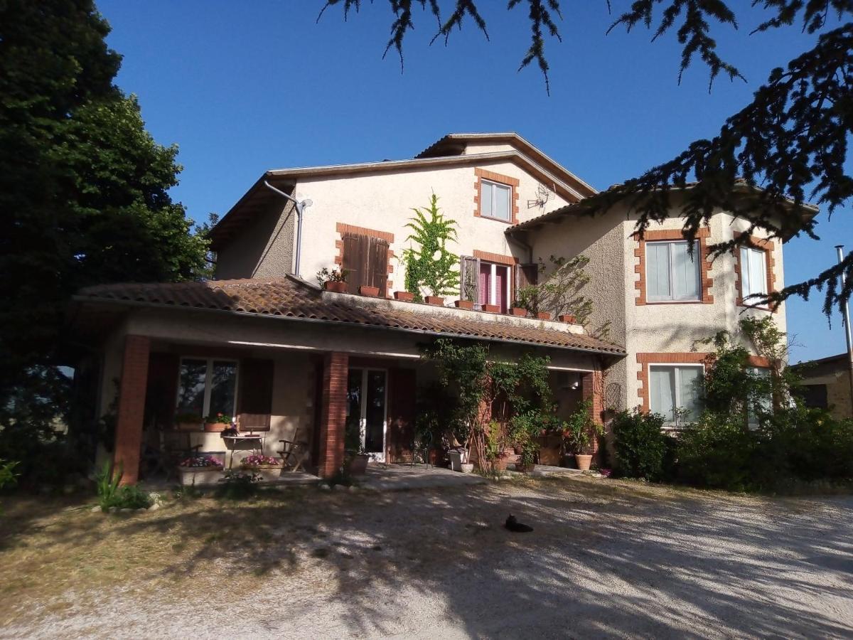 B&B La Gallinella Rossa Baschi Экстерьер фото